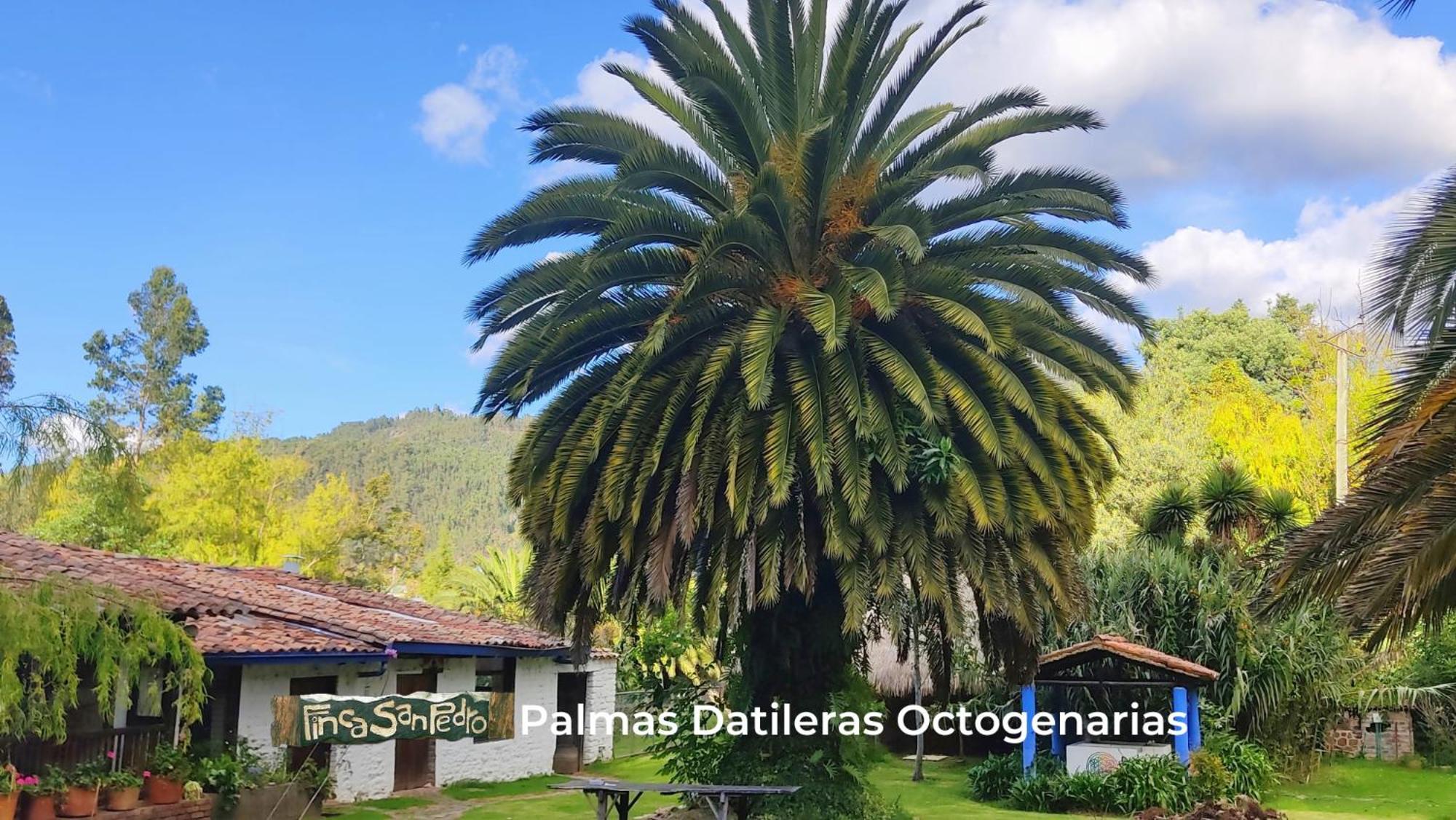 Finca San Pedro -Alojamiento Campestre Y Reserva Natural- Sogamoso Eksteriør bilde