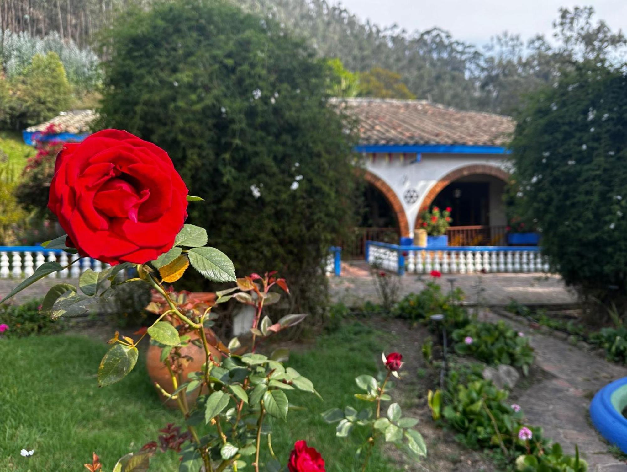 Finca San Pedro -Alojamiento Campestre Y Reserva Natural- Sogamoso Eksteriør bilde