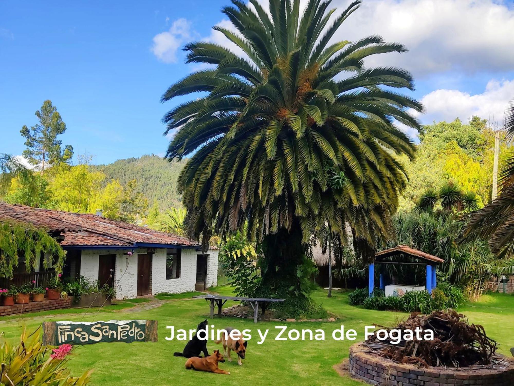 Finca San Pedro -Alojamiento Campestre Y Reserva Natural- Sogamoso Eksteriør bilde