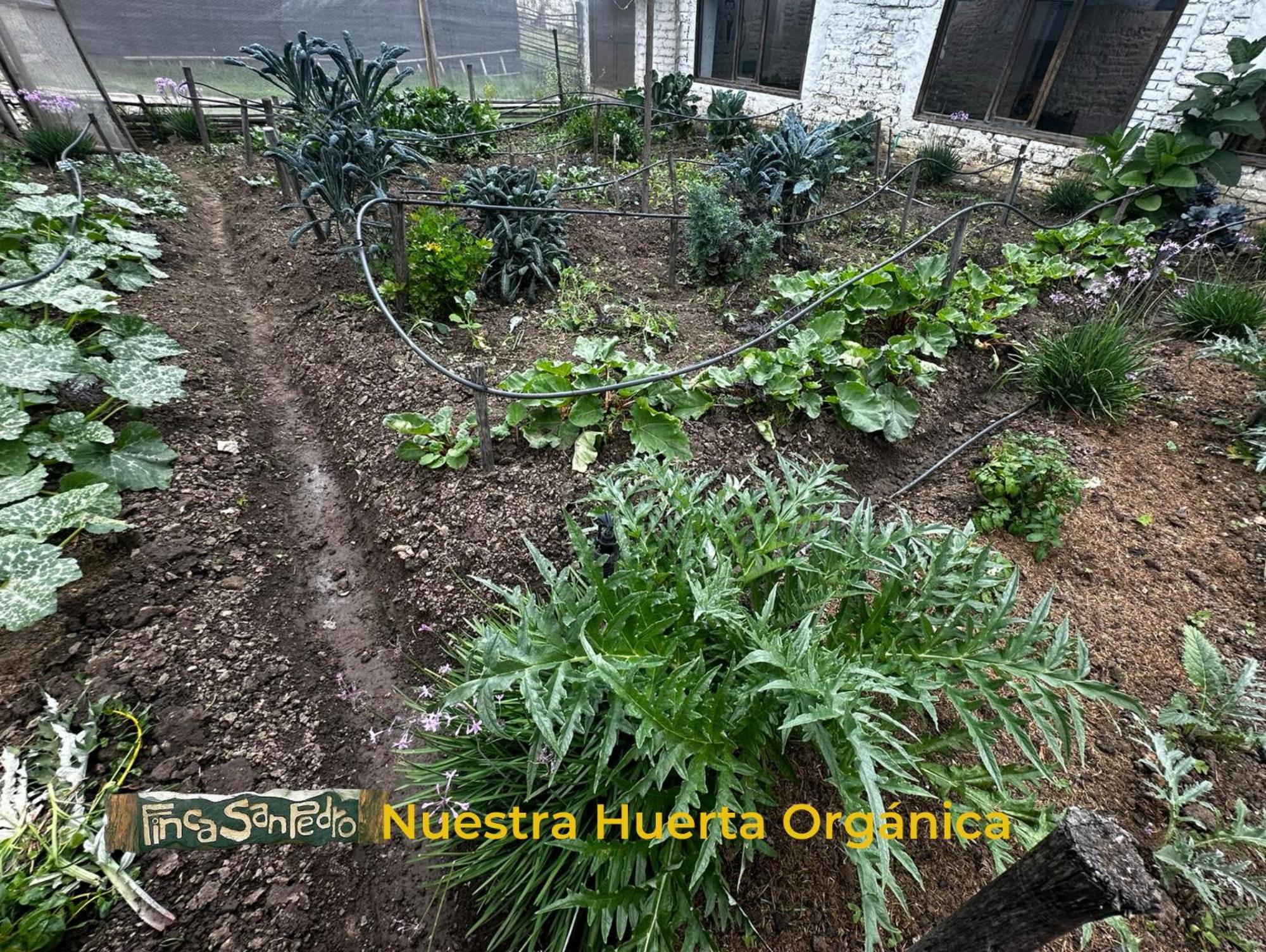 Finca San Pedro -Alojamiento Campestre Y Reserva Natural- Sogamoso Eksteriør bilde